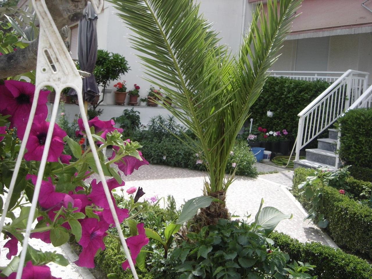 אספרובלטה Hotel Angela מראה חיצוני תמונה